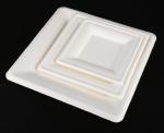 Hot-Selling Bagasse food container, biodegradable disposable food container,