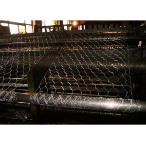 plant protection 25mm BWG24 Hexagon Metal Mesh