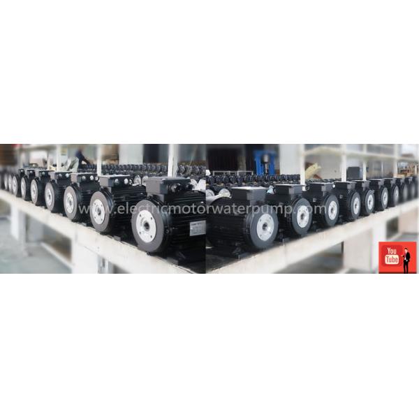 hollow shaft electric motor