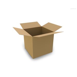 Ecofriendly Corrugated Packaging Carton Box