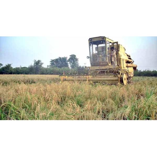 Buy Glyphosate 480 g/L SL/herbicides/glifosato 48% SL at wholesale prices