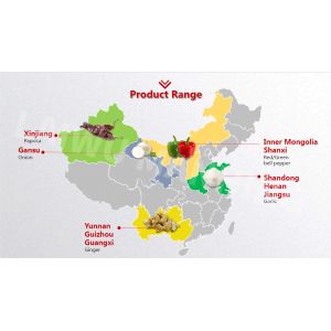 Fumigation Free 10ppm 100 cfu/G Dehydrated Garlic Cloves