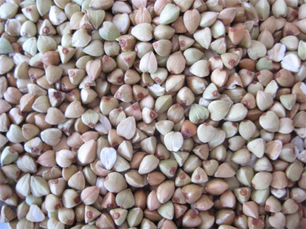 Buy buckwheat huller, buckwheat sheller, buckwheat hulling machine at wholesale prices