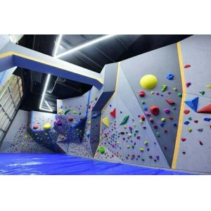 Experience the Thrill with Gecko King Playground Wall Climbing Holds