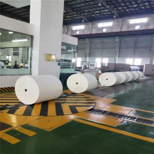 Offset Printing Compatible Woodfree Offset Paper from Longfeng/Chenming Mill