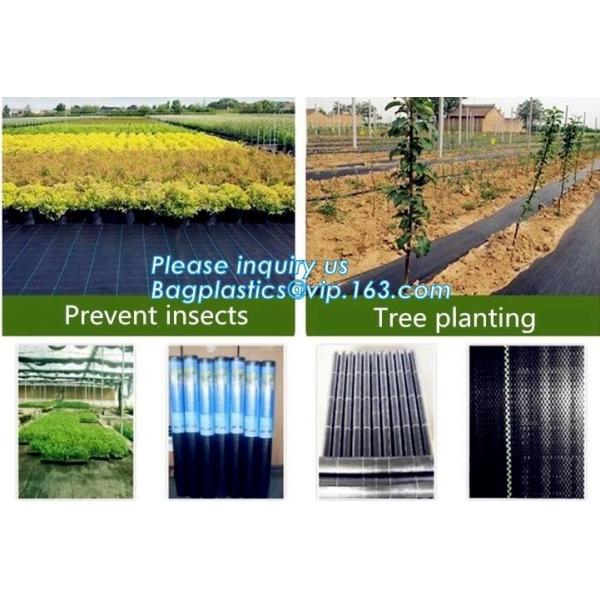 China plastic agricultural mulch film, weel control fabric roll,prevent weed growing,weed barrier fabric,Weed Control Folding on sale China plastic agricultural mulch film, weel control fabric roll,prevent weed growing,weed barrier fabric,Weed Control Folding on sale