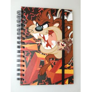PLASTIC LENTICULAR Manufacture High Quality Customized 3d lenticular notebook pp