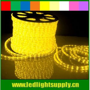 China 12/24v 1/2'' 2 wire led light outdoor christmas rope flex light on sale