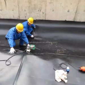 Graphic Design HDPE Dam Liner for Aquaculture Fish Farming Project Solution