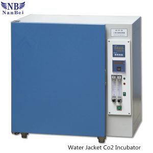 80L Bacteria Laboratory Thermostat Ivf Small Electric Water Jacket Co2 Incubator