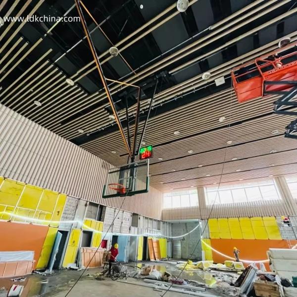 Buy Ultra-Space Saver Roof-Mount Basketball Hoop Fold-Down & Electric
 at wholesale prices