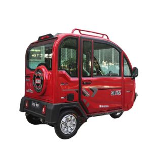 Electric 300Kg 650W Motor Transport Tuk Tuk
