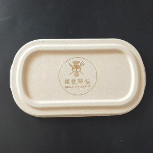 Biodegradable Disposable Sugarcane Bagasse takeaway Containers Box