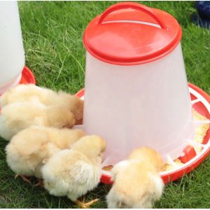 Poultry Drinking Chicken Feeding Line 1kg-20kg Broiler Automatic Feeder
