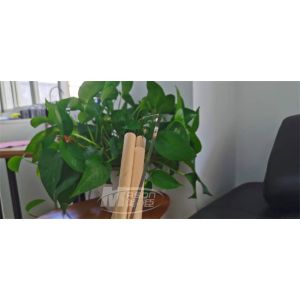 Cast Acrylic Plexiglass Plastic Sheets 1220x2440mm Weathering Resistance