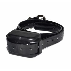 Light Weight Remote Pet Training Collar Waterproof With No Bark