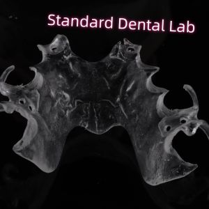 FDA Cobalt Chrome High Esthetic Clear Framework Partial