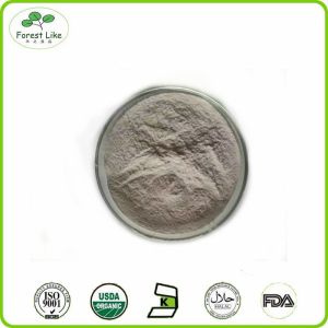 China Factory Pure Organic Blueberry P.E. / Pternstilbene20% on sale