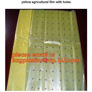 plastic tomatoes home garden polytunnel greenhouse film,Film Covering Tomato