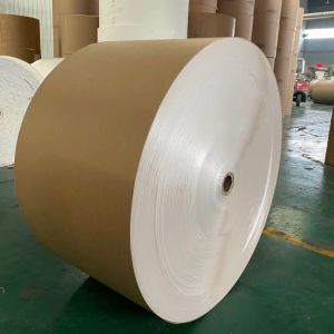 18G Double PE Coated Paper Roll Good Stiffness Food grade