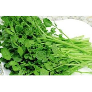 Nasturtium P.E./ Watercress Extract, stop coughing, diuresis, beneficial to