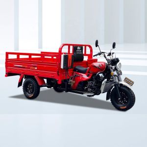 China 50*100 Chassis Gas Powered Tricycle for 1 Passenger and Cargo in Nigeria's Logistics on sale