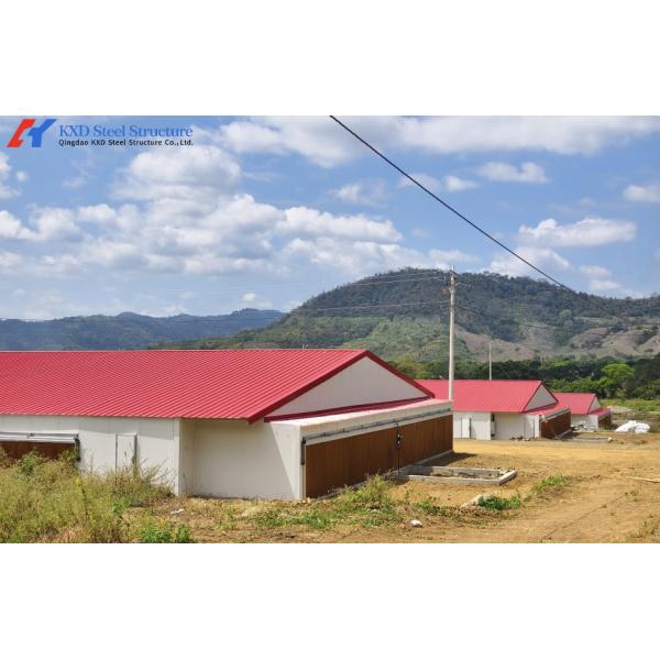 Buy Commercial Poultry House Steel Structure with Feeding and Drinking Systems at wholesale prices