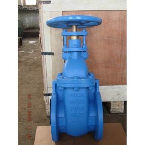 (BS) Cast Iron Gate Valve NRS