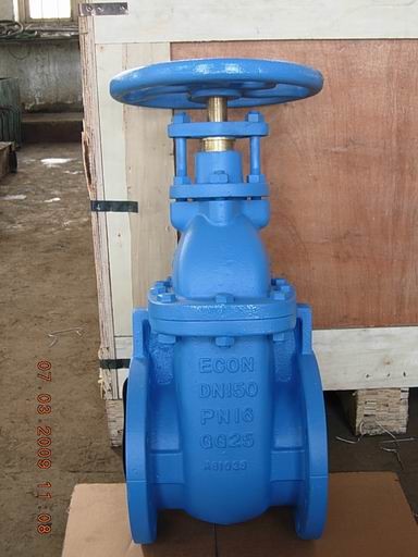 Buy (BS) Cast Iron Gate Valve NRS at wholesale prices