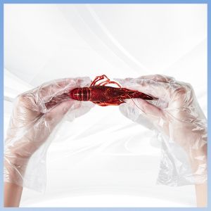 Hygiene Disposable PE Gloves Acids Resistance For Food Processing