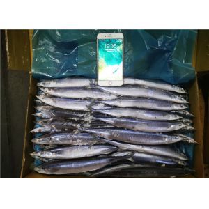 High Protein Frozen Pacific Saury