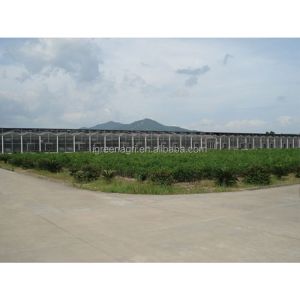 9.6m Tunnel Width Polycarbonate Greenhouse for Sustainable Agricultural