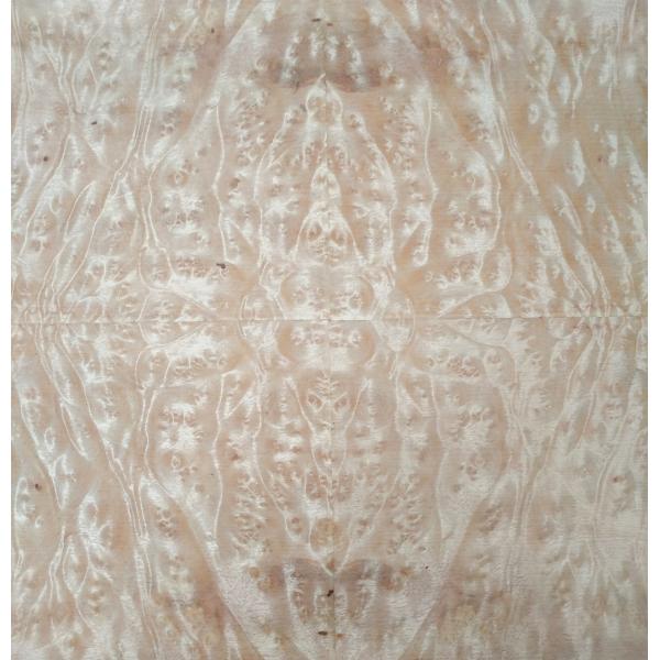 Buy Golden Camphor Burl Paper Back Veneer | Paper Backed Golden Camphor Burl Veneer Sheets at wholesale prices