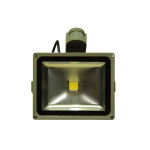 Quality Cool White 10 W Waterproof LED Flood Light 770Lumen For Outdoor Billboards for sale