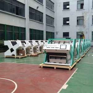 optical soybean color sorter coffee beans color sorting machinery in China with