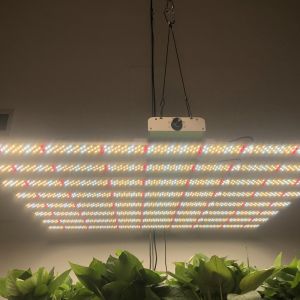 CE RoHS Light Weigh 6500K Commercial LED Grow Lights