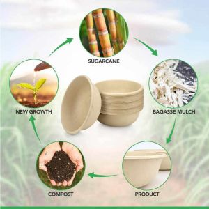 Eco Friendly Bowls 100% Compostable Disposable Biodegradable Sugarcane Bagasse