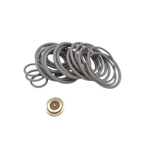 OEM/ODM Available Nitrile Fluorelastomer Bridge Plugs 10 BP3.SEC Adapter Kits