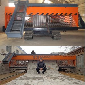 GF-6 Tiger Stone Paver Laying Machine from China