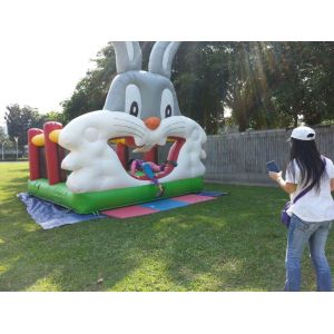 Rabbit Inflatable Bouncer Castle With Slide 6x3.5x2.5m