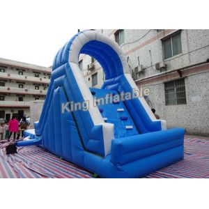 Blue Family Double Stitching Inflatable Water Slide For Kids
