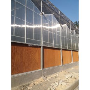 IGreen Polycarbonate Greenhouse Panels for Flowers and Vegetables Customized