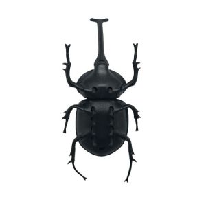 Promotional Solar Toys Solar Powered Beetle Insect Knowledge Educational Toys