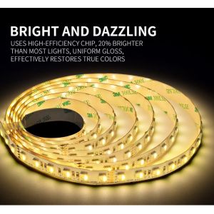 Flexible RGBWW 463nm 570lm 28W SMD 5050 LED Strip Light