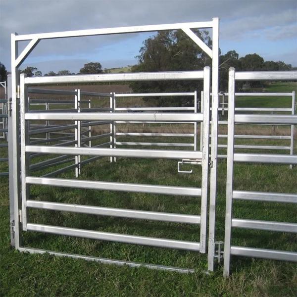 Buy 10 Ft Australia Standard Livestock Fencing Panels Galvanized Metal at wholesale prices