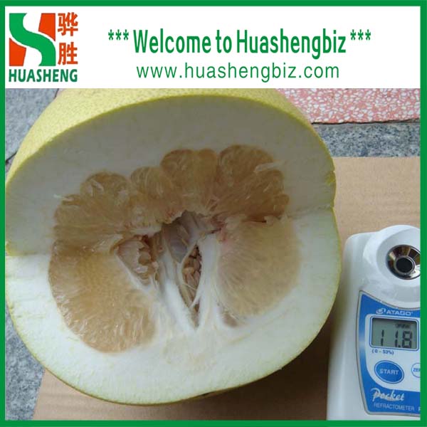 Buy Honey pomelo at wholesale prices