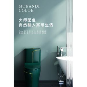 6L Sanitary Ware Toilet