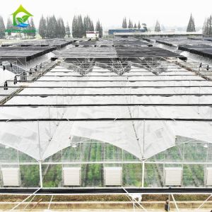 Saw Tooth Multi Span Tropical Weather Plastic Film Greenhouse With Shading