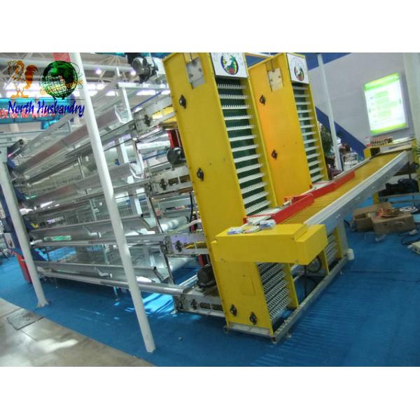 Buy egg laying poultry cages supply at wholesale prices