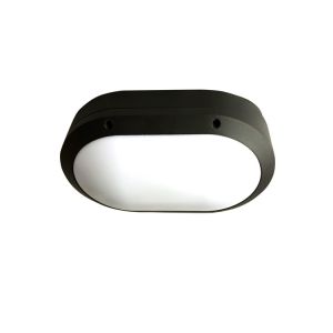 Oval  Led Bathroom Ceiling Lights Wall Mount Led Light 3000K 170*280 Waterproof 50-60Hz